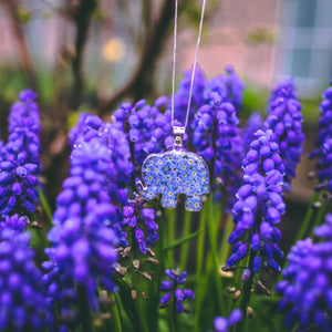 Silver Pendant - Forget-me-not - Elephant